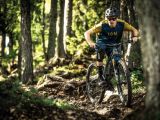 Image: entries/bikepark-petzen-thriller-leopold-hermann-800x533.jpg