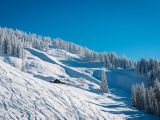 Image: entries/el-ski-amade-landschaft-und-misc-22.jpg