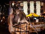 Image: entries/salzkammergut-krampuslauf-6-.jpg