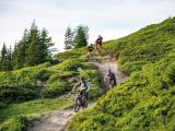 Obrázek: entries/tvb-saalbach.hinterglemm-bike-0719-stefan.voitl-030-800x533.jpg